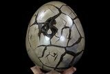 Septarian Dragon Egg Geode - Black Crystals #71846-3